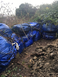 Dockroyd Digger Day 4